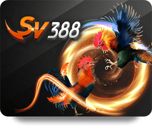 FUN88 Update 2026: Boost Your Gaming Experience Today